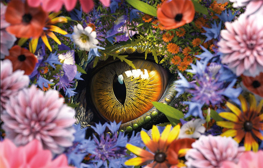 Landesgartenschau Furth im Wald